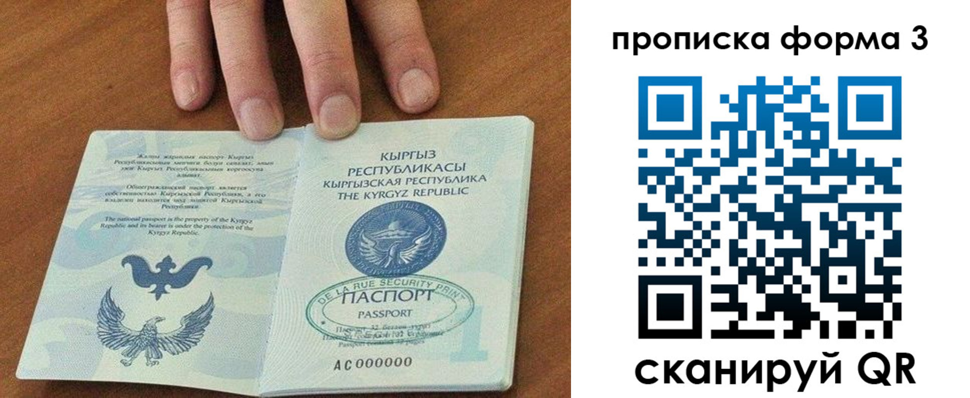 прописка 2025 в Новой Ляле